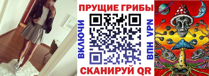 Псилоцибиновые грибы Psilocybine cubensis  Заинск 