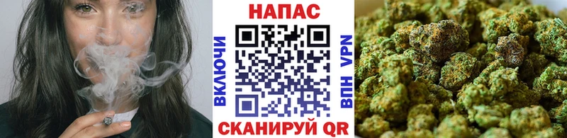 Конопля ГИДРОПОН Заинск